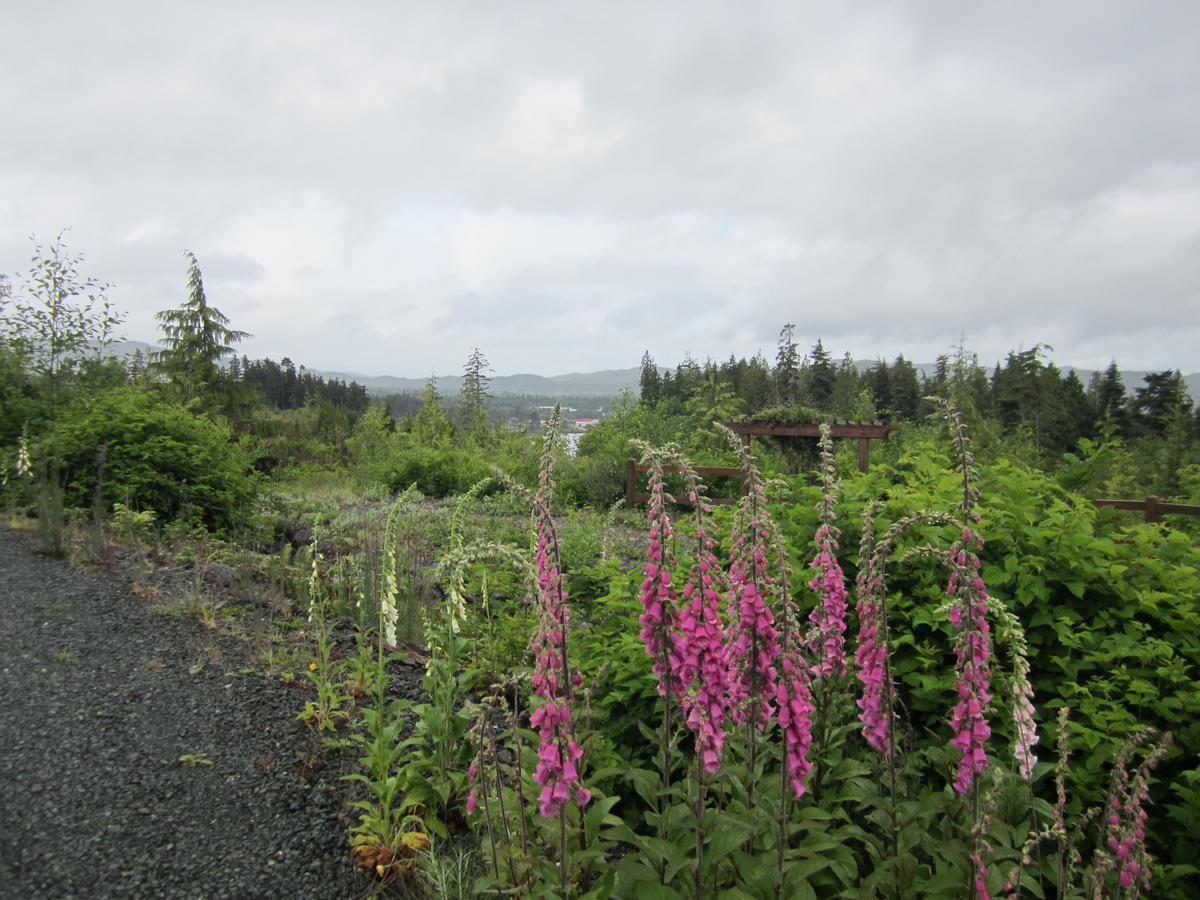 Ecoscape Cabins Hotel Port Hardy Bagian luar foto