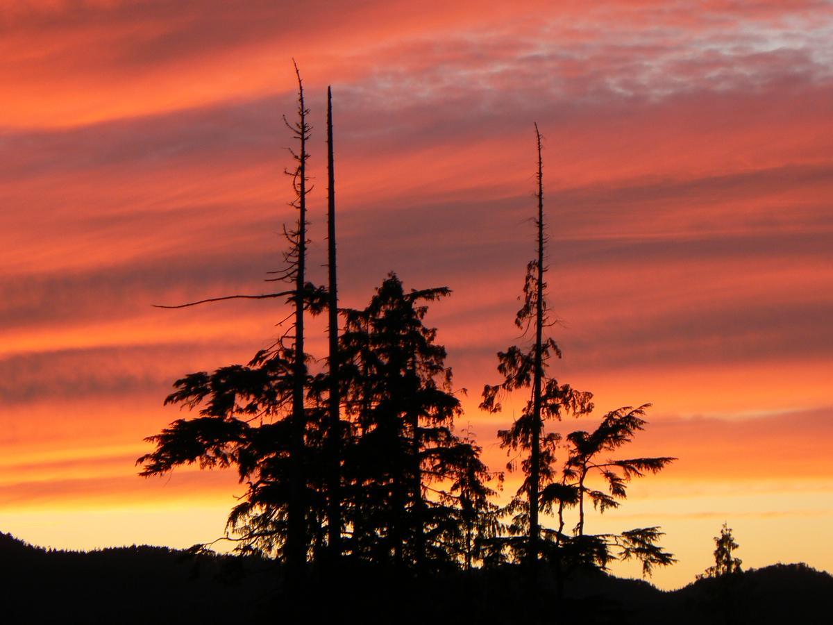 Ecoscape Cabins Hotel Port Hardy Bagian luar foto